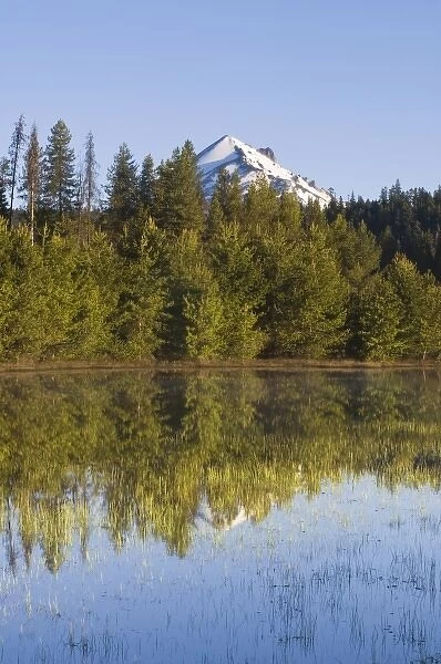 USA, OR, Fremont-Minema NF, Mt. McLoughlin Reflected in Lake of the Woods