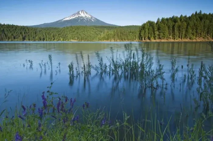 Framed Print : USA, OR, Mt. McLoughlin from Willow Lake