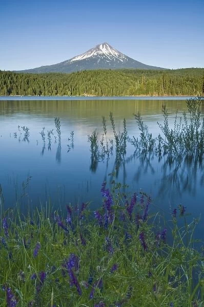 USA, OR, Mt. McLoughlin from Willow Lake