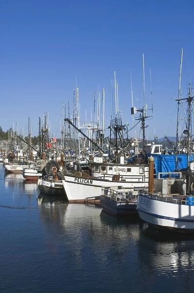 USA, OR, Newport, Fishing Boats in Harbor