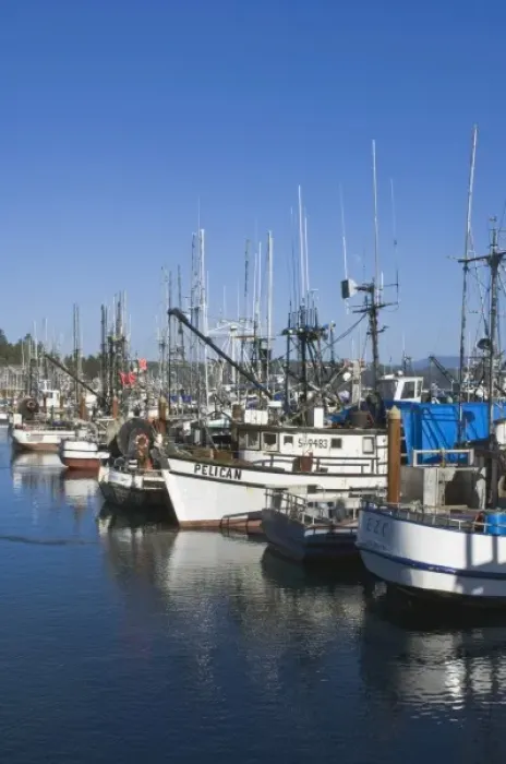 Framed Print : USA, OR, Newport, Fishing Boats in Harbor