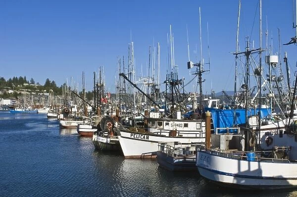 USA, OR, Newport, Fishing Boats in Harbor