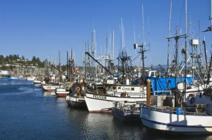 Framed Print : USA, OR, Newport, Fishing Boats in Harbor Framed Print : USA, OR, Newport, Fishing Boats in Harbor