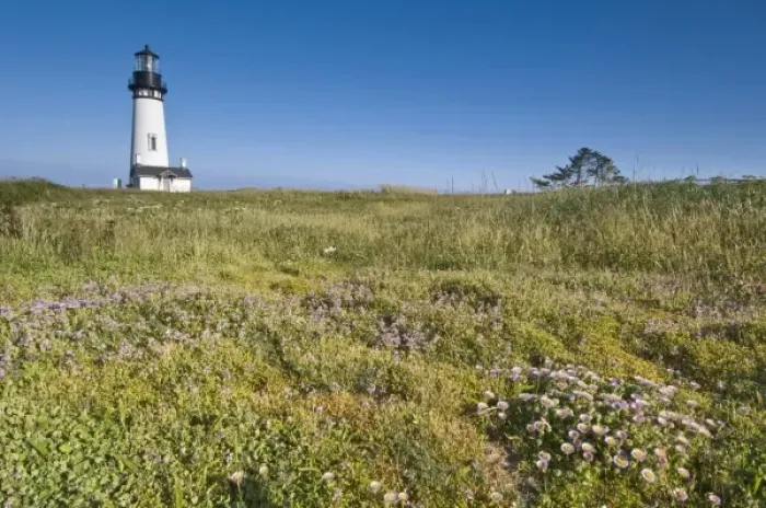 Framed Print : USA, OR, Newport, Yaquina Head Lighthouse