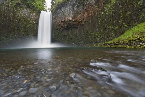 USA, Oregon. Abiqua Falls plunges into large pool