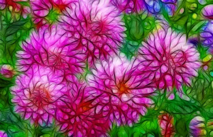 Framed Print : USA, Oregon. Abstract of digitally altered pink dahlias