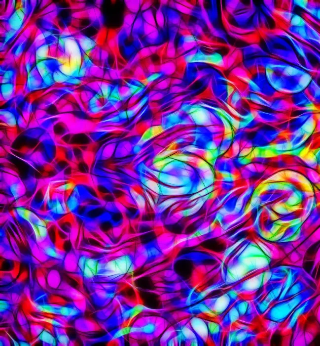 Framed Print : USA, Oregon. Abstract of red cabbage. Credit as: Jean Carter / Jaynes Gallery / DanitaDelimont Framed Print : USA, Oregon. Abstract of red cabbage. Credit as: Jean Carter / Jaynes Gallery / DanitaDelimont