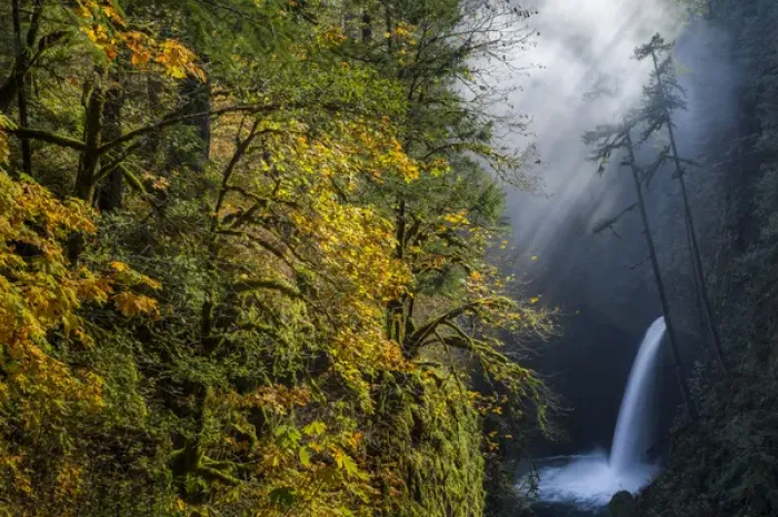 Framed Print : USA, Oregon. Autumn fall color and sun-streaked mist at Metlako Falls on Eagle Creek Framed Print : USA, Oregon. Autumn fall color and sun-streaked mist at Metlako Falls on Eagle Creek