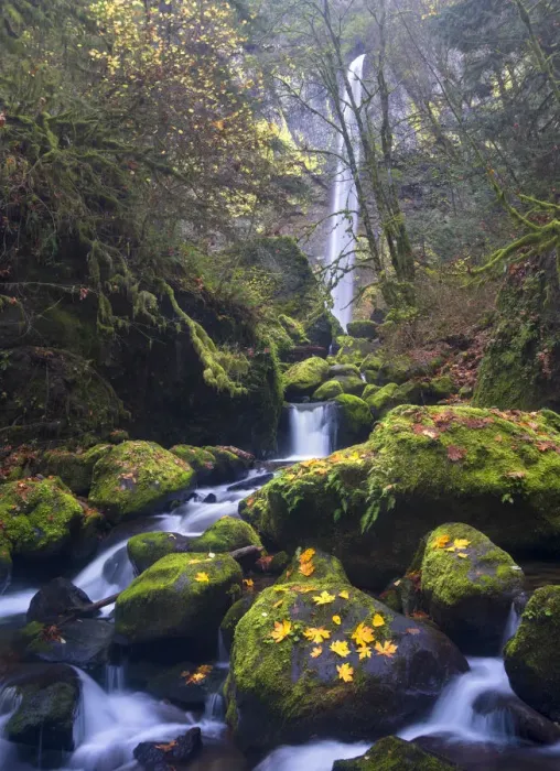 Framed Print : USA, Oregon. Autumn view of McCord Creek flowing below Elowah Falls in the Columbia River Gorge