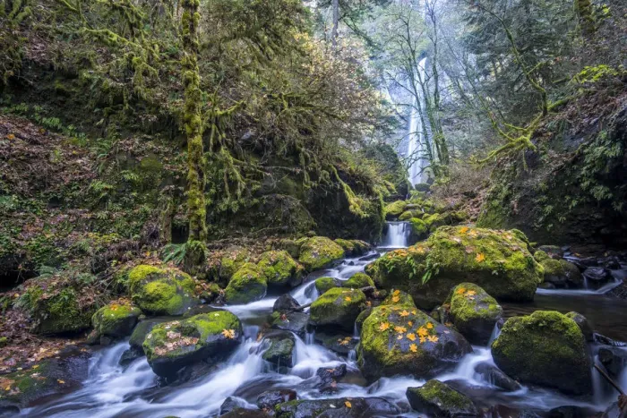 Framed Print : USA, Oregon. Autumn view of McCord Creek flowing below Elowah Falls in the Columbia River Gorge Framed Print : USA, Oregon. Autumn view of McCord Creek flowing below Elowah Falls in the Columbia River Gorge