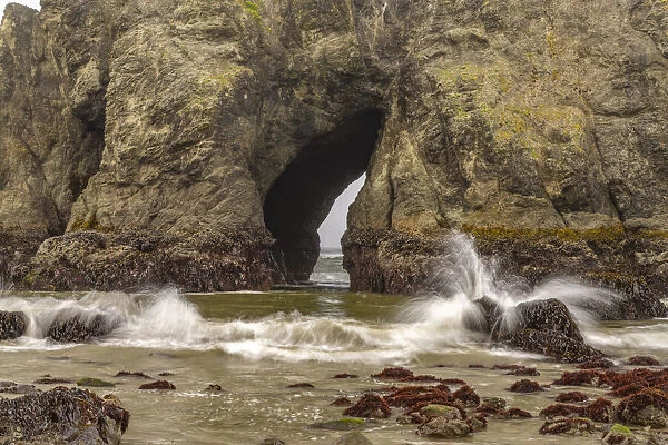 USA, Oregon, Bandon Beach. Waves and arch in shoreline sea stack