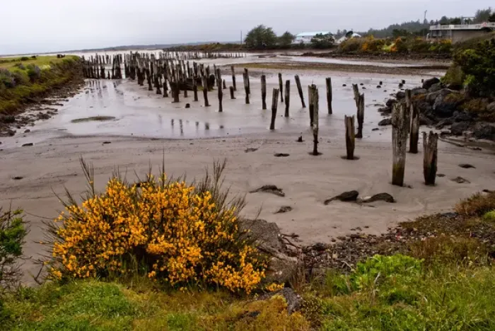 Framed Print : USA, Oregon, Bandon, Old Pilings