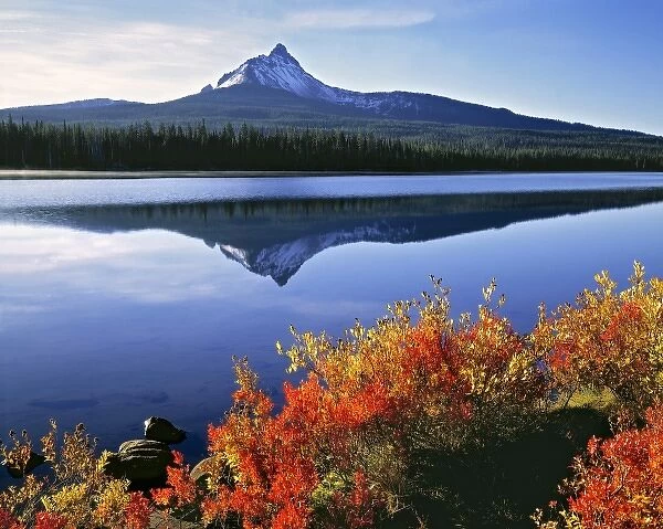 USA, Oregon, Big Lake & Mt Washington. Huckleberry leaves are touched by the orange of autumn