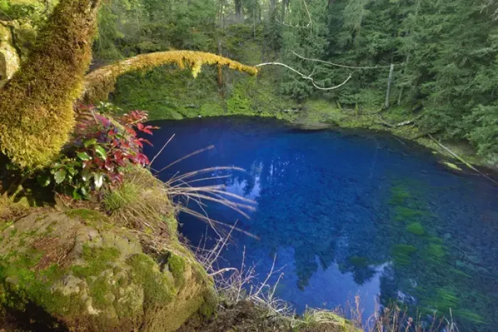 Framed Print : USA, Oregon. Blue or Tamolitch Pool on McKenzie River Framed Print : USA, Oregon. Blue or Tamolitch Pool on McKenzie River