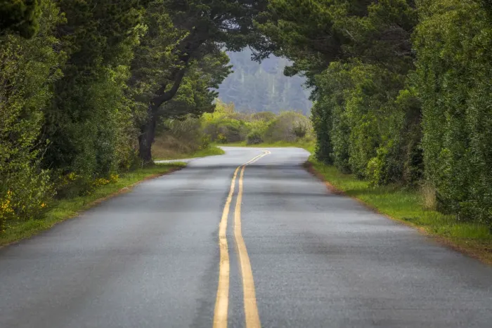 Framed Print : USA, Oregon, Bullards Beach State Park. Tree arch over road Framed Print : USA, Oregon, Bullards Beach State Park. Tree arch over road