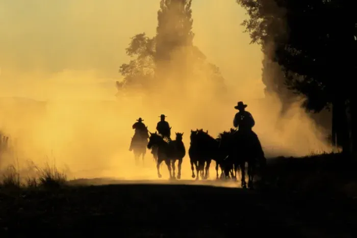 Framed Print : USA, Oregon, Burns. Cowboys driving wild horses down dirt road Framed Print : USA, Oregon, Burns. Cowboys driving wild horses down dirt road