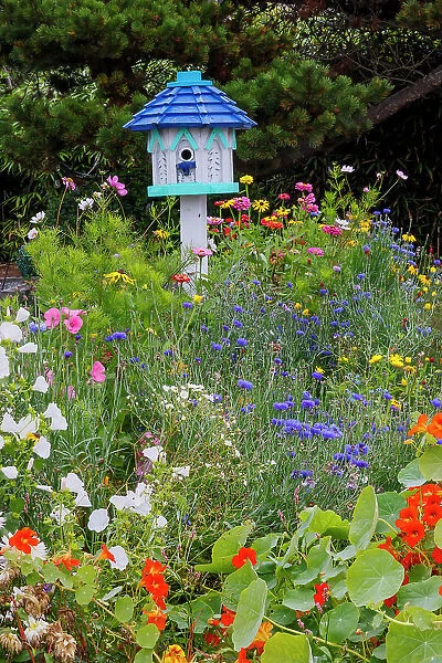 USA, Oregon. Cannon Beach and Cottage Garden with white birdhouse with blue roof