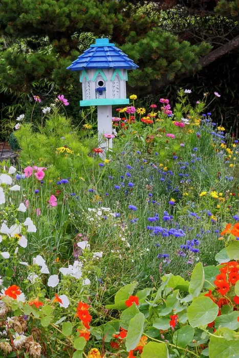 Framed Print : USA, Oregon. Cannon Beach and Cottage Garden with white birdhouse with blue roof