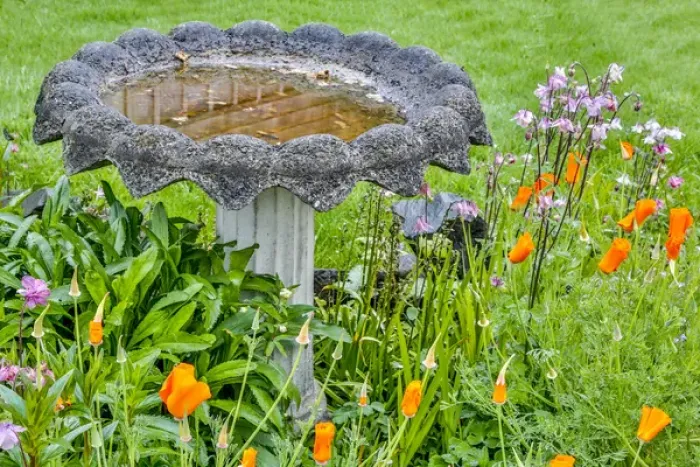 Framed Print : USA, Oregon, Cannon Beach, Flowers and Birdbath Framed Print : USA, Oregon, Cannon Beach, Flowers and Birdbath