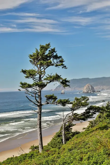 Framed Print : USA, Oregon. Cannon Beach with Haystack
