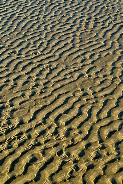 USA, Oregon. Cannon Beach low tide and ripples in the sand