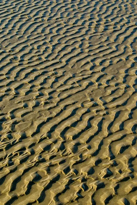Framed Print : USA, Oregon. Cannon Beach low tide and ripples in the sand Framed Print : USA, Oregon. Cannon Beach low tide and ripples in the sand