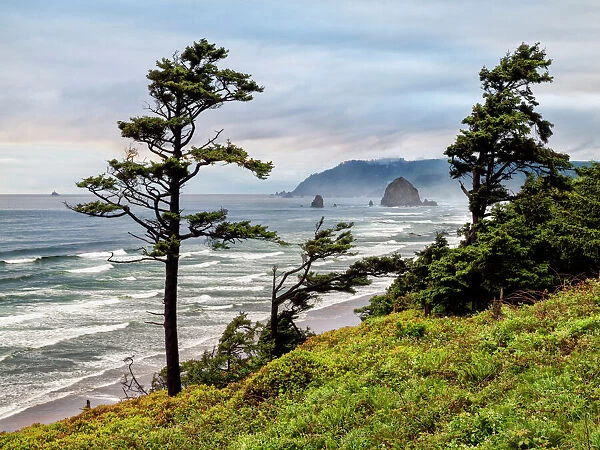USA, Oregon, Cannon Beach, View of Haystack Rock