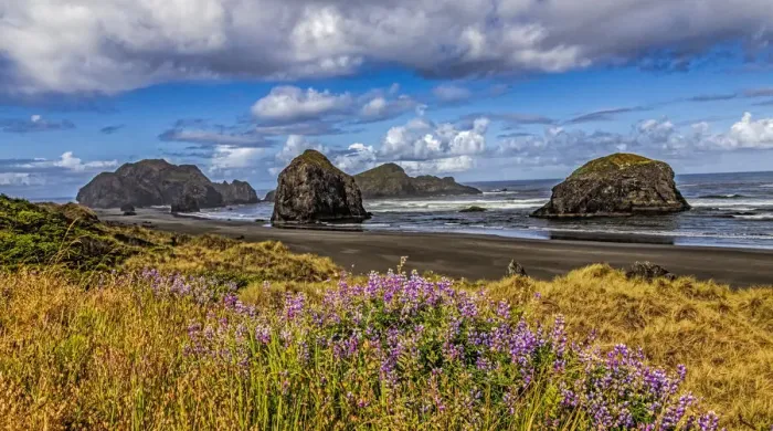 Framed Print : USA, Oregon, Cape Sebastian Framed Print : USA, Oregon, Cape Sebastian