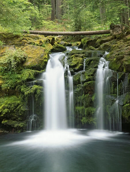 USA, Oregon, Cascade Range, Umpqua National Forest. View of Whitehorse Falls. Credit as