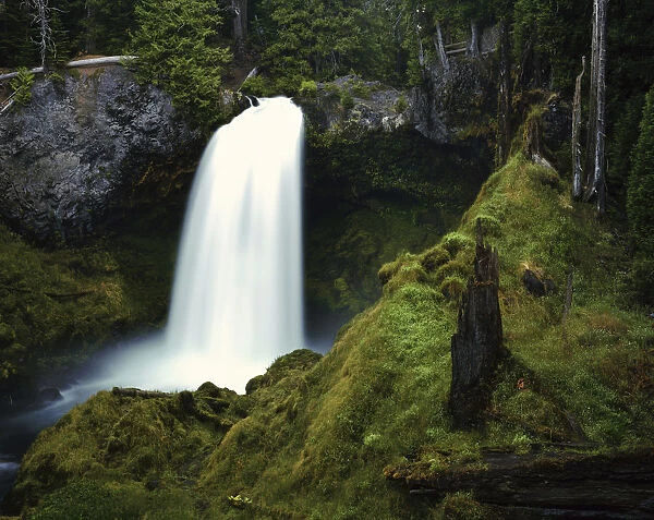 USA, Oregon, Cascade Range. Waterfall on the McKenzie River. Credit as: Dennis Flaherty