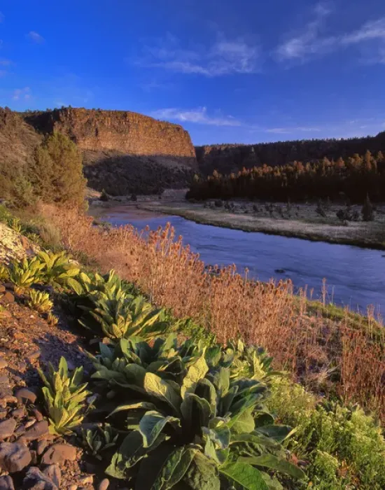 Framed Print : USA, Oregon. Castle Rock above Crooked River Framed Print : USA, Oregon. Castle Rock above Crooked River