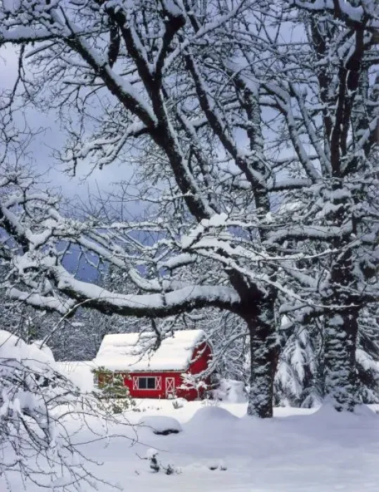 Framed Print : USA, Oregon, Clackamas County. Fresh snow covers landscape and red barn Framed Print : USA, Oregon, Clackamas County. Fresh snow covers landscape and red barn