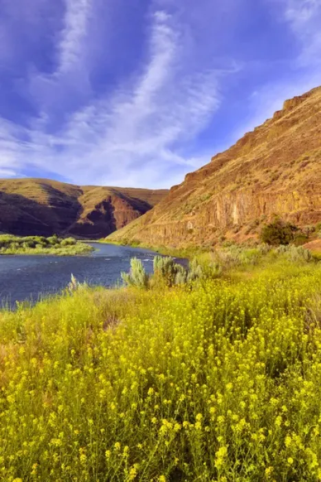 Framed Print : USA, Oregon. Cliffs and wild mustard along John Day River Framed Print : USA, Oregon. Cliffs and wild mustard along John Day River