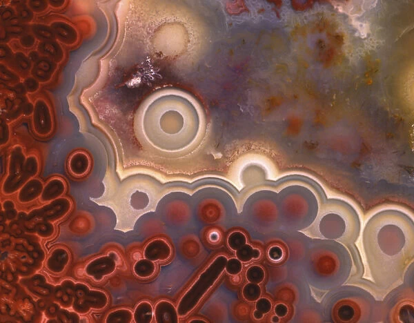USA, Oregon, Close-up of cross section pattern in Mexican crazy lace agate. Credit as
