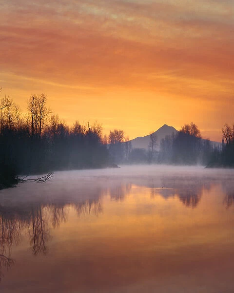 USA, Oregon. Clouds above Mt. Hood reflect in the Whitaker Pond at sunrise. Jaynes