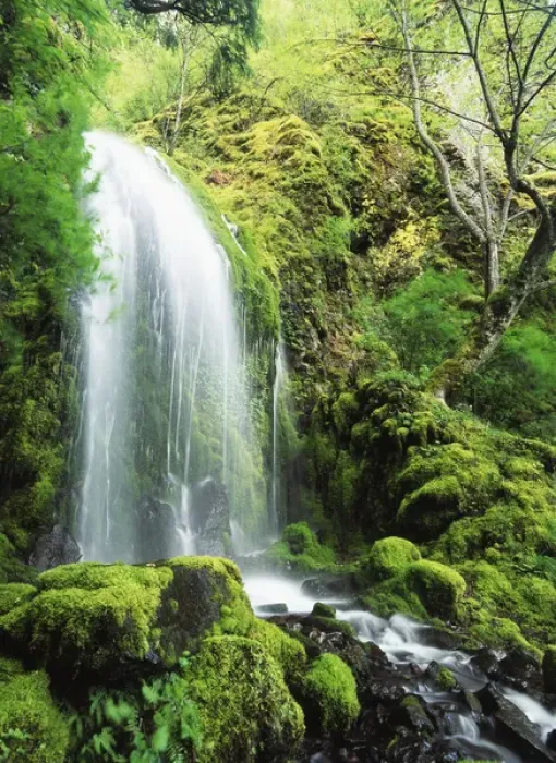 Framed Print : USA, Oregon, Colombia, Mt Hood National Forest, Columbia River Gorge, View of waterfall Framed Print : USA, Oregon, Colombia, Mt Hood National Forest, Columbia River Gorge, View of waterfall