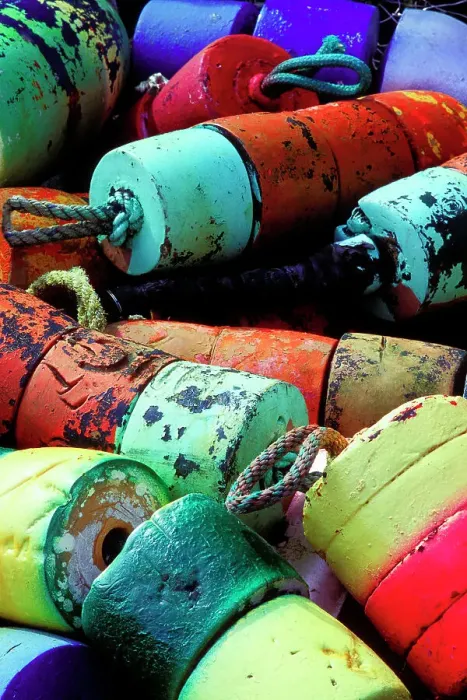 Framed Print : USA, Oregon. Colorful buoys Framed Print : USA, Oregon. Colorful buoys