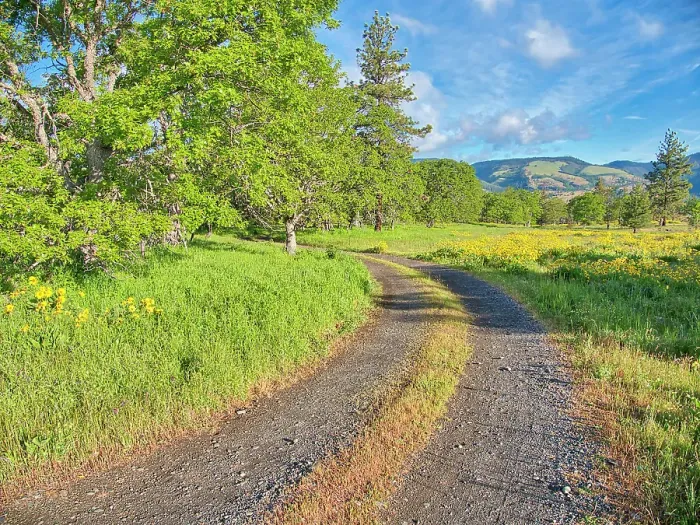 Framed Print : USA, Oregon. Columbia George, country backroad through wildflowers Framed Print : USA, Oregon. Columbia George, country backroad through wildflowers