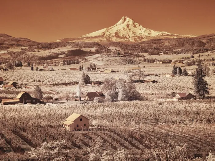 Framed Print : USA, Oregon, Columbia Gorge. Infrared of spring orchards in bloom and Mount Hood Framed Print : USA, Oregon, Columbia Gorge. Infrared of spring orchards in bloom and Mount Hood