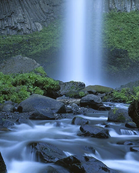 USA, Oregon, Columbia Gorge, Latourell Falls, Guy W. Talbot State Park
