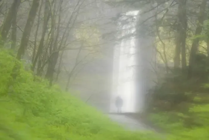 Framed Print : USA, Oregon, Columbia River Gorge. Latourell Falls seen through a rain-streaked car window Framed Print : USA, Oregon, Columbia River Gorge. Latourell Falls seen through a rain-streaked car window