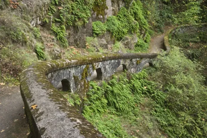 Framed Print : USA, Oregon, Columbia River Gorge. Stone wall next to trail above Sheppards Dell Framed Print : USA, Oregon, Columbia River Gorge. Stone wall next to trail above Sheppards Dell