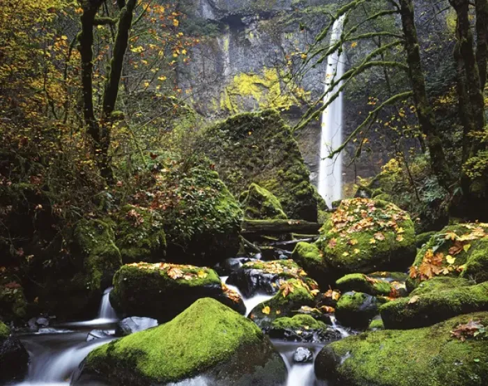 Framed Print : USA, Oregon, Columbia River Gorge, John B. Yeon State Park, Elowah Falls