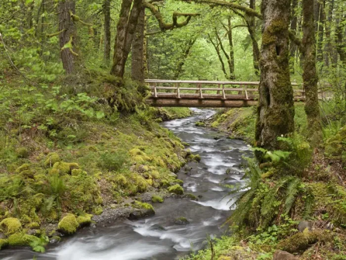 Framed Print : USA, Oregon, Columbia River Gorge. Wooden bridge over Gorton Creek