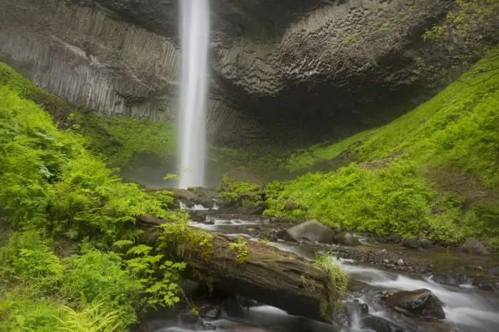 Framed Print : USA, Oregon, Columbia River Gorge. Latourell Falls landscape Framed Print : USA, Oregon, Columbia River Gorge. Latourell Falls landscape