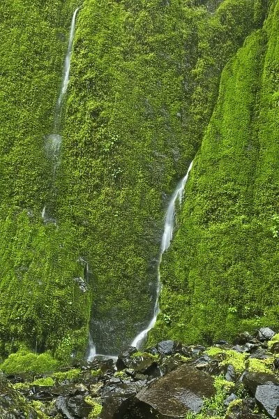 USA, Oregon, Columbia River Gorge. Waterfall on Elowah Falls Trail