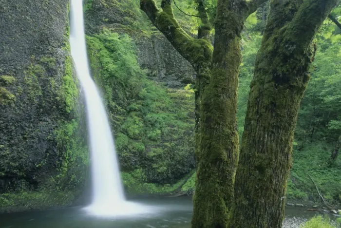 Framed Print : USA, Oregon, Columbia River Gorge, Horsetail Falls Framed Print : USA, Oregon, Columbia River Gorge, Horsetail Falls