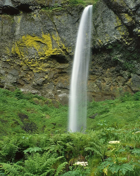 USA, Oregon, Columbia River Gorge National Scenic Area. Elowah Falls scenic. Credit as
