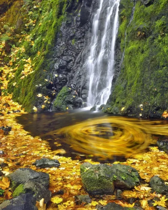 Framed Print : USA, Oregon, Columbia River Gorge National Scenic Area. Starvation Creek waterfall Framed Print : USA, Oregon, Columbia River Gorge National Scenic Area. Starvation Creek waterfall