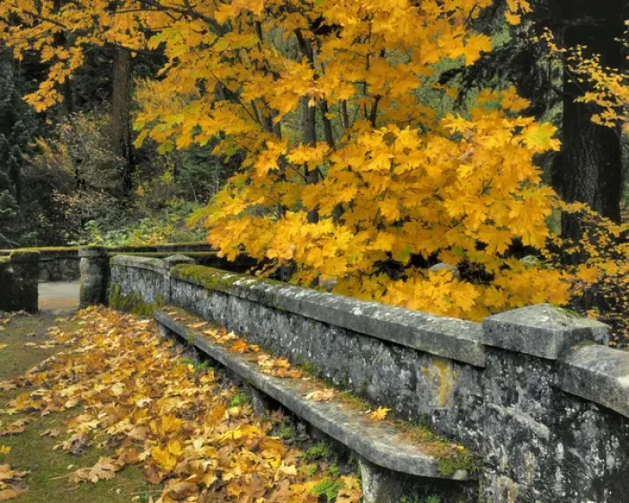 Framed Print : USA, Oregon, Columbia River Gorge National Scenic Area. Stone wall and bench framed Framed Print : USA, Oregon, Columbia River Gorge National Scenic Area. Stone wall and bench framed